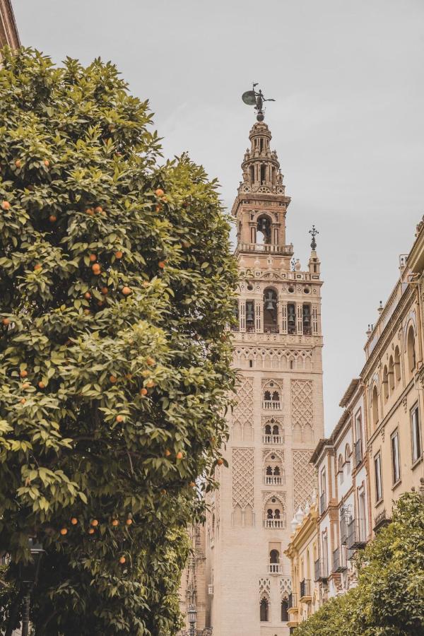 Apartamento Jardin De Santa Paula Sevilla Exteriör bild